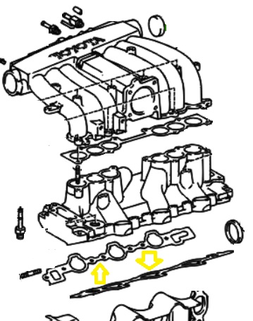 _ 3VZ 3.0L Intake Manifold Gasket OEM