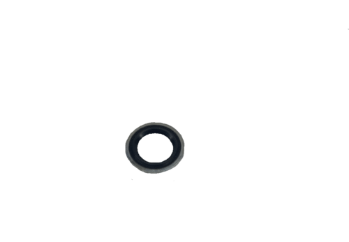 Seal Washer 2005