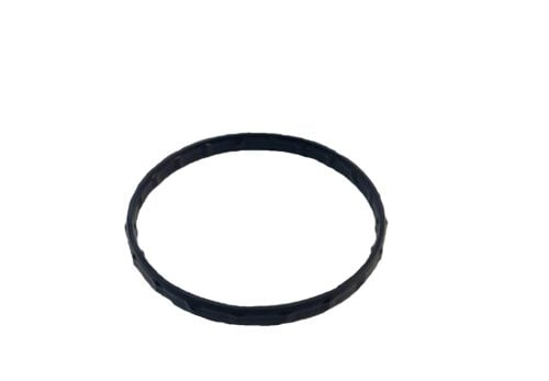 Thermostat Gasket 2005