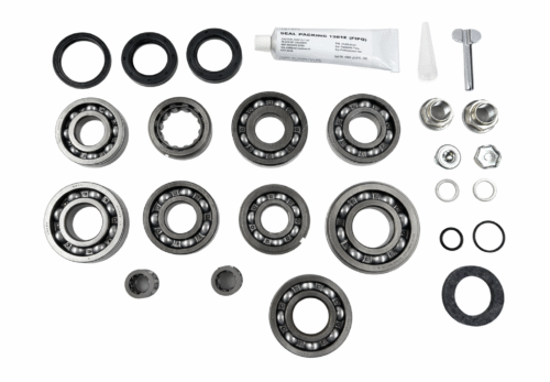 Dual Case Full Rebuild Bearing Kit