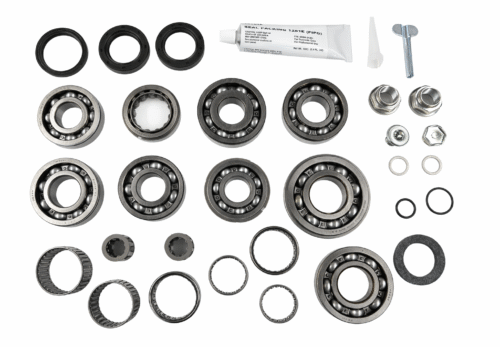 Dual Case Full Rebuild Bearing Kit
