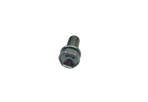 Bolt With Washer Multipurpose 69