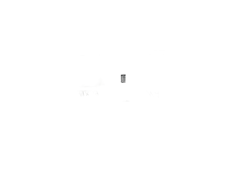 R-Series 5th Synchro Key Spring Late