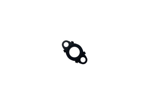 Fuel Delivery Pipe Gasket