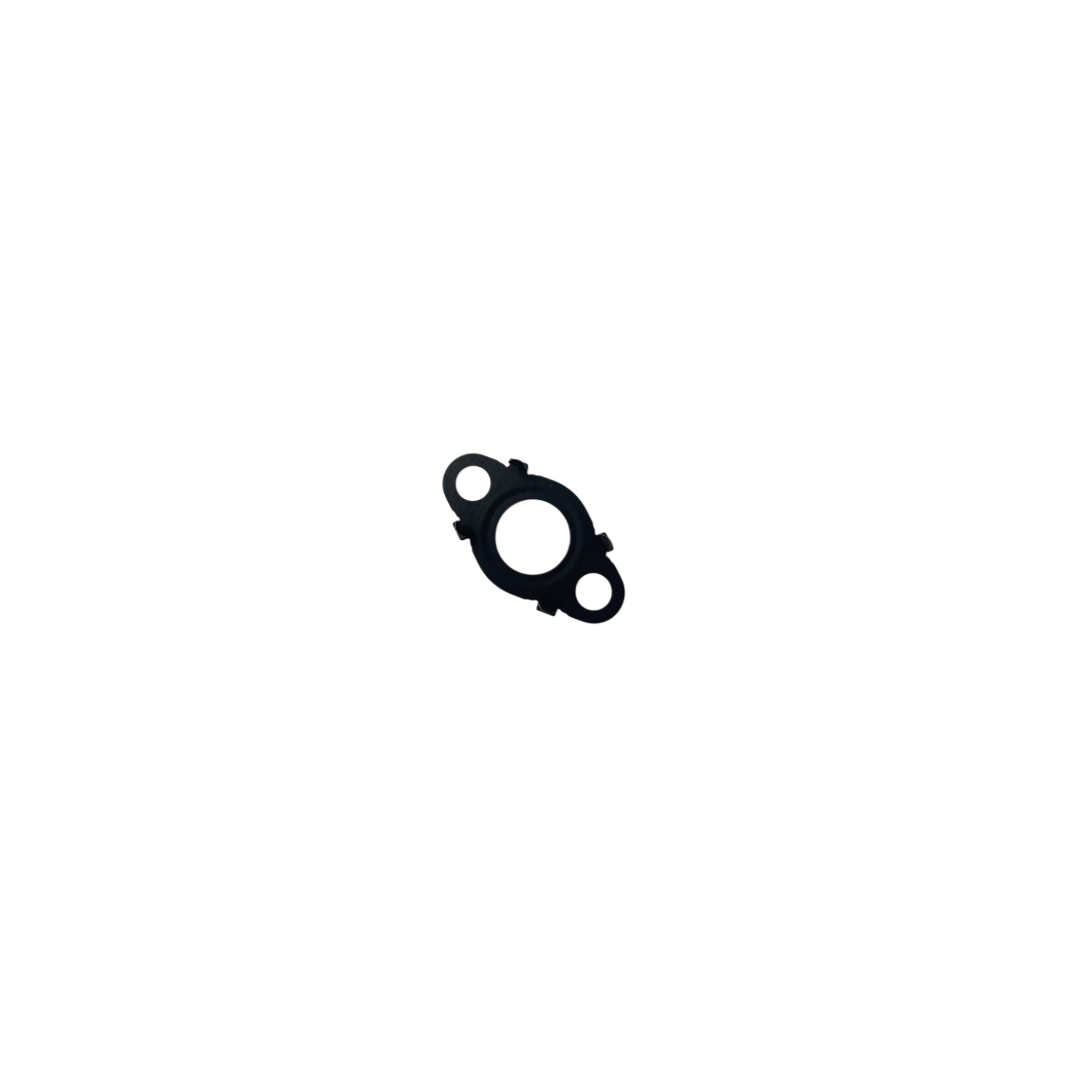 Fuel Delivery Pipe Gasket